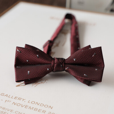 2024 Papioni pentru bărbați cu design nou jacquard din poliester, bej, maro, papion pentru bărbați, fulgi de zăpadă, în dungi, costum de domn, fluture