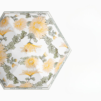 Plakans sešas reizes kabatas lietussargs saulessargs Krāsa Līme Saules aizsardzība Saules aizsardzība Lietussargs Lietussargs Sieviešu saliekamais lietussargs