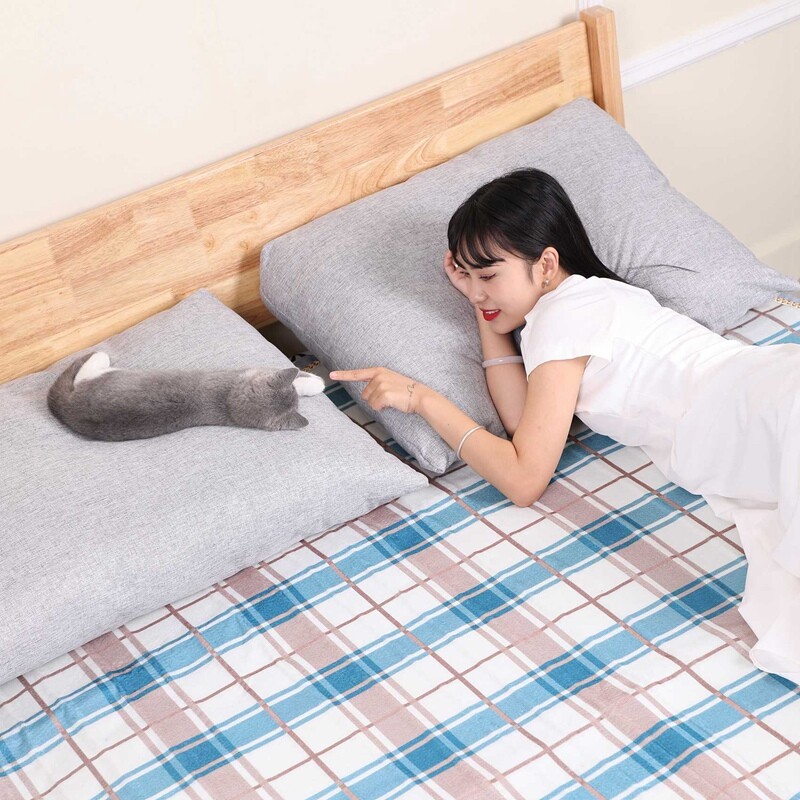 1 tk paksem soojendustekk termostaadi vaip 1,8x1,2M 220V EU pistik kahekorpuse talvesoojendaja jaoks