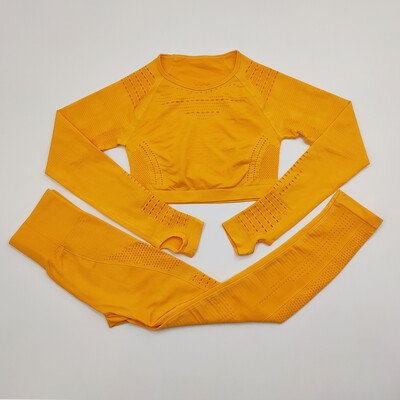 Bezšuvju sieviešu sporta kostīms sporta zālei treniņu apģērbi Tīkla augšdaļa ar garām piedurknēm Fitness Crop Top un Scrunch Butt Vingrošanas Legingi Jogas Komplekti