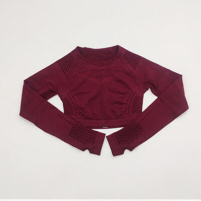 Bezšuvju sieviešu sporta kostīms sporta zālei treniņu apģērbi Tīkla augšdaļa ar garām piedurknēm Fitness Crop Top un Scrunch Butt Vingrošanas Legingi Jogas Komplekti