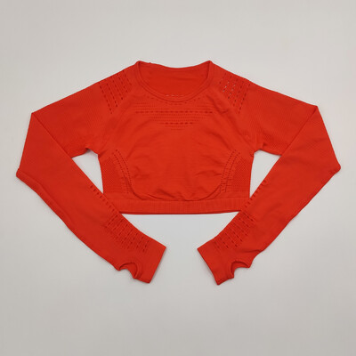 Bezšuvju sieviešu sporta kostīms sporta zālei treniņu apģērbi Tīkla augšdaļa ar garām piedurknēm Fitness Crop Top un Scrunch Butt Vingrošanas Legingi Jogas Komplekti