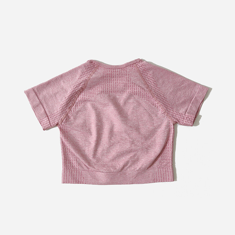 Bezšuvju sieviešu jogas komplekts Crop Top krekls ar īsām piedurknēm Fitnesa šorti treniņu apģērbi sievietēm sporta zāles apģērbi jogas sporta komplekts