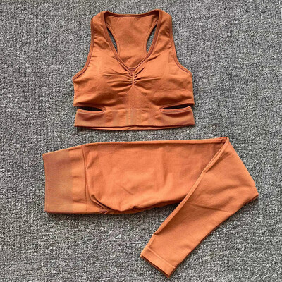 2024 Bešavni ženski sportski grudnjak Joga set Ženske hlače za vježbanje s visokim strukom Tajice Sportska odjeća za teretanu Odijelo za aktivnu upotrebu