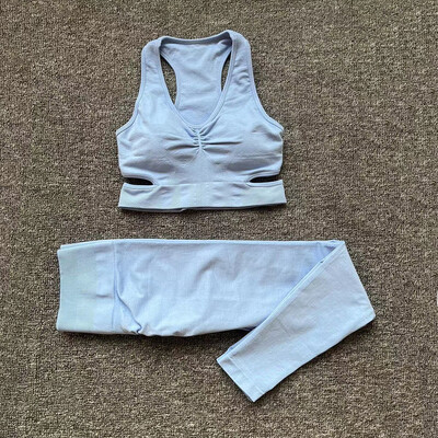 2024 Bešavni ženski sportski grudnjak Joga set Ženske hlače za vježbanje s visokim strukom Tajice Sportska odjeća za teretanu Odijelo za aktivnu upotrebu