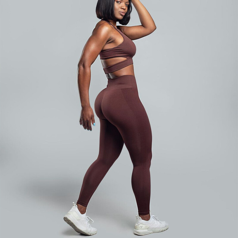 2024 Bešavni ženski sportski grudnjak Joga set Ženske hlače za vježbanje s visokim strukom Tajice Sportska odjeća za teretanu Odijelo za aktivnu upotrebu