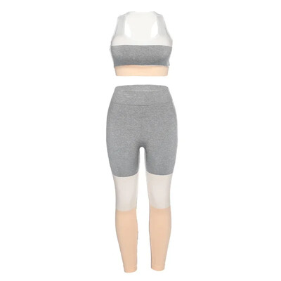 Sportski set Ženska Push Up sportska odjeća Ženska teretana 2024 Sportsko odijelo za fitness NOVO Odjeća za jogu Odjeća za pilates Grudnjak Tajice Odjeća XS