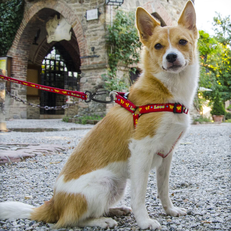 4KN 360° rotirajući spinner karabiner zakretna karabinerska kopča Kuka za povodac za kućne ljubimce Mali karabiner s automatskim zaključavanjem Viseća kopča
