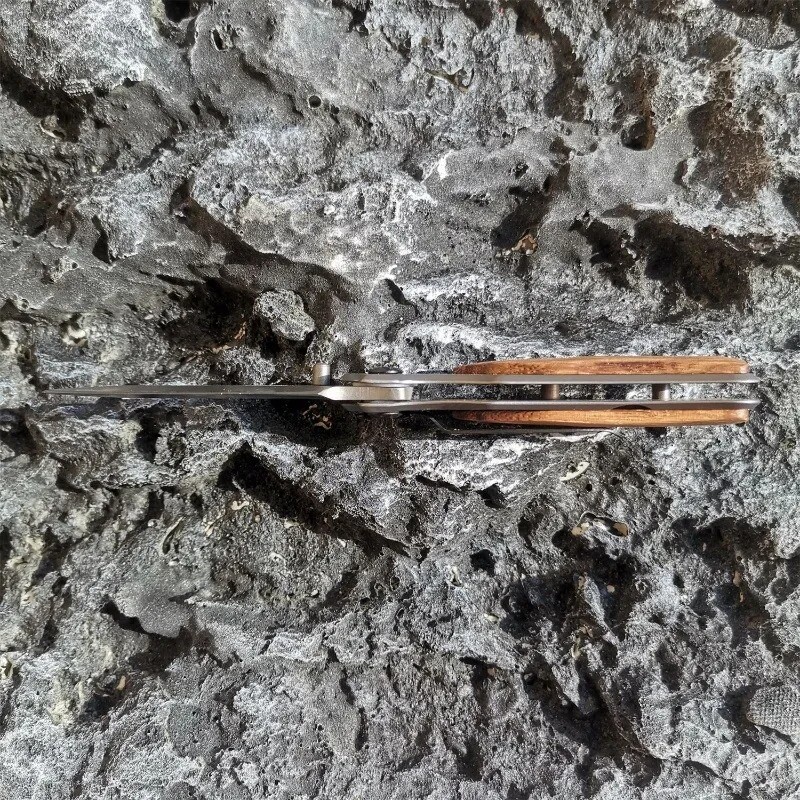 1 tk, roostevabast terasest puidust käepidemega nuga, suure kõvadusega tasku, mida on lihtne kaasas kanda, spetsiaalselt matkamiseks mõeldud välimatkamiseks