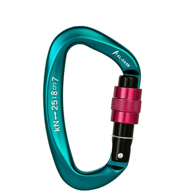 12/25KN Professional Safety Carabiner Σχήμα D Key Hooks Αλουμίνιο Climbing Security Master Lock Outdoor Ascend Camping Tools