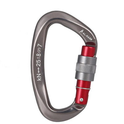 12/25KN Professional Safety Carabiner Σχήμα D Key Hooks Αλουμίνιο Climbing Security Master Lock Outdoor Ascend Camping Tools
