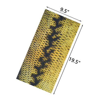 Bandana s ribljim uzorkom Muškarci Biciklistička maska za lice Trčanje Planinarenje Pokrivala za glavu Ribolov Navlaka za vrat Navlaka za nogavice Snood Žene Balaclava šal na otvorenom