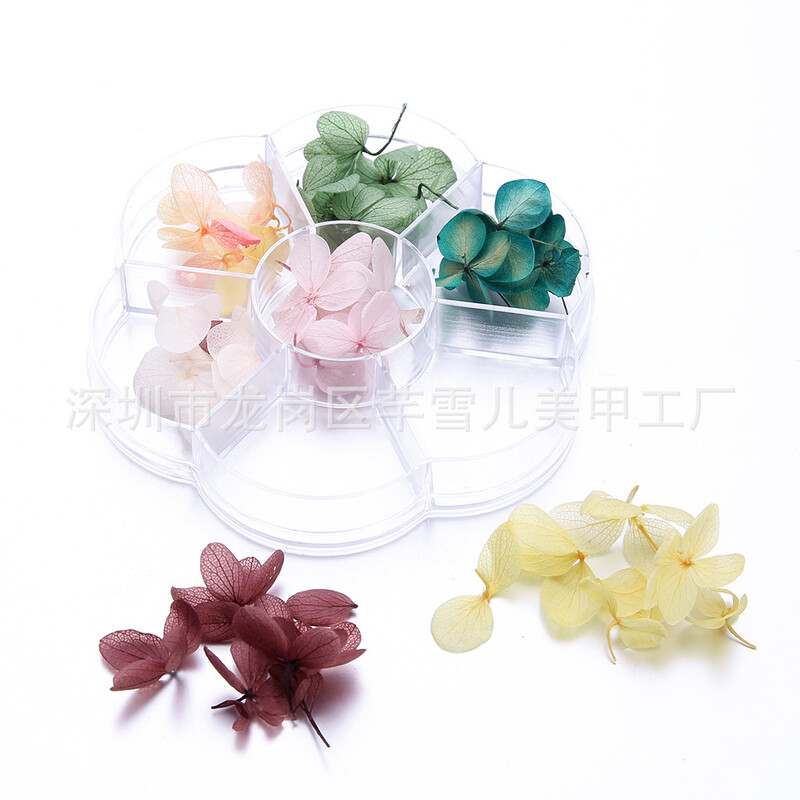 Prekogranična umjetnost noktiju Suho cvijeće Japanski besmrtni cvijet Hortenzija Ukrasi za nokte 40-45 Suho cvijeće