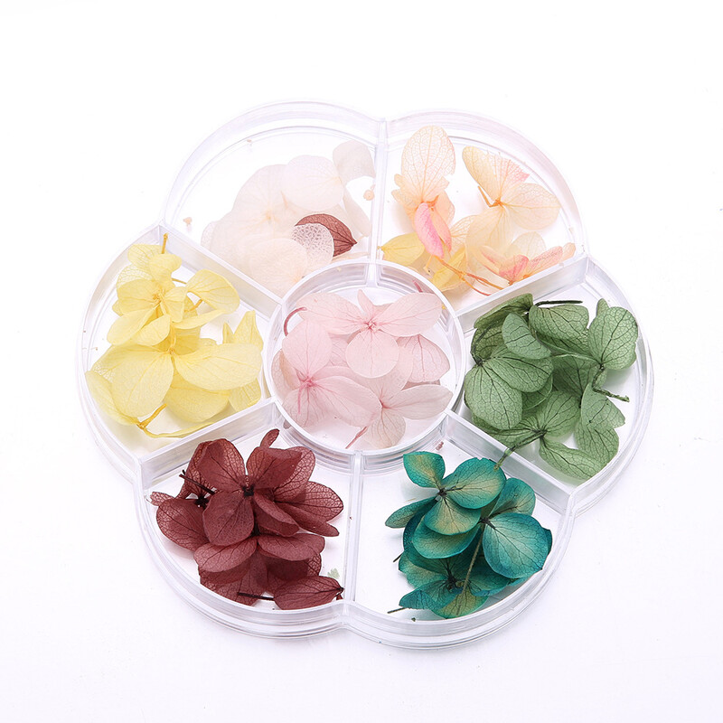 Prekogranična umjetnost noktiju Suho cvijeće Japanski besmrtni cvijet Hortenzija Ukrasi za nokte 40-45 Suho cvijeće