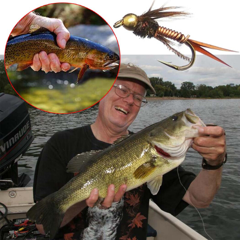 6kom/kutija Mušičarski mamac Kukci Različiti mješoviti stilovi Mušice za lov pastrve Nimfa Suhe mušice Mušičarski mamci