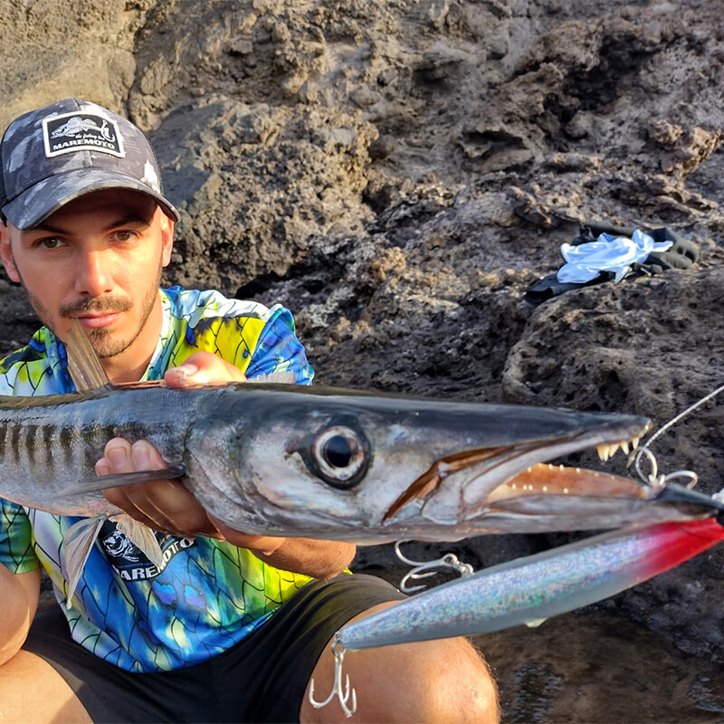 TSURINOYA 173F Ultra-long Casting Floating Minnow 173 mm 6.81 in 37.5 g varalica za morski ribolov STINGER Umjetni veliki tvrdi mamci