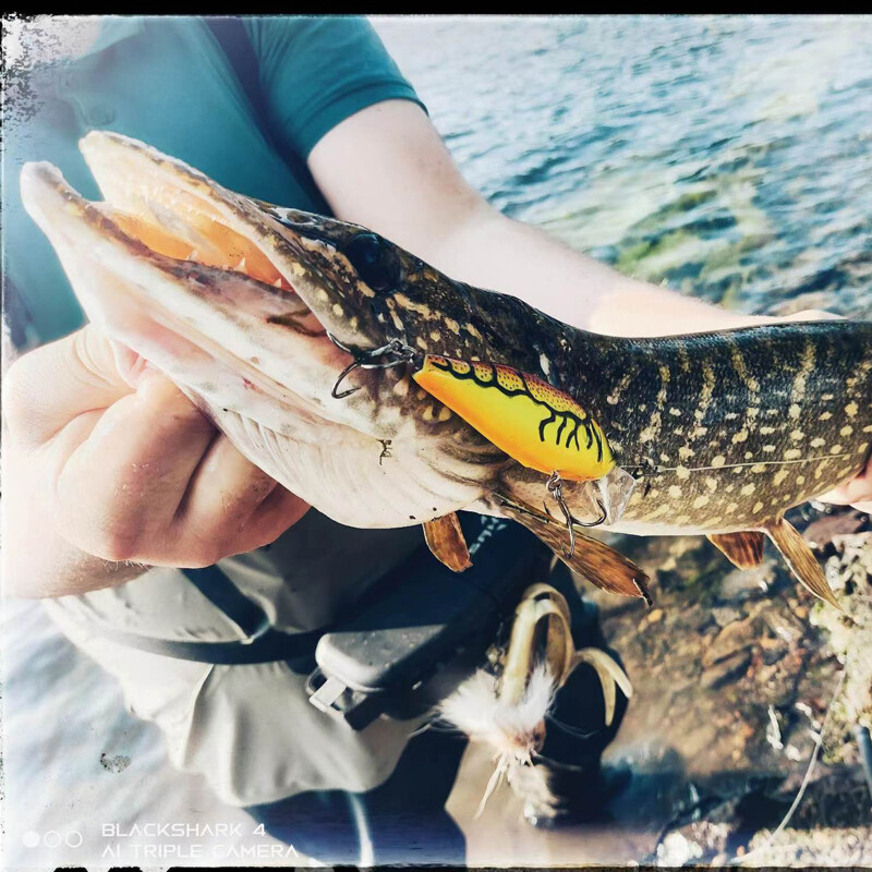LEYDUN Hot JACK Rybárske nástrahy Minnow 107,7 mm 30 g Plávajúce plávanie Vysokokvalitné tvrdé nástrahy Hlučný systém Wobblery na ostrieže a šťuky