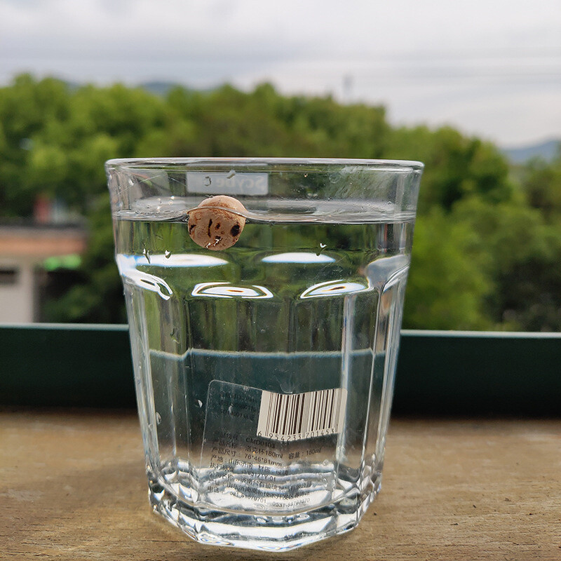 20 τμχ Floating Bead Bait Carp Fishing Boilies Bait Cork Ball Μεγάλη πλευστότητα μπάλα φελλού Ευρωπαϊκού στυλ 8mm/10mm Floating Ball Bait