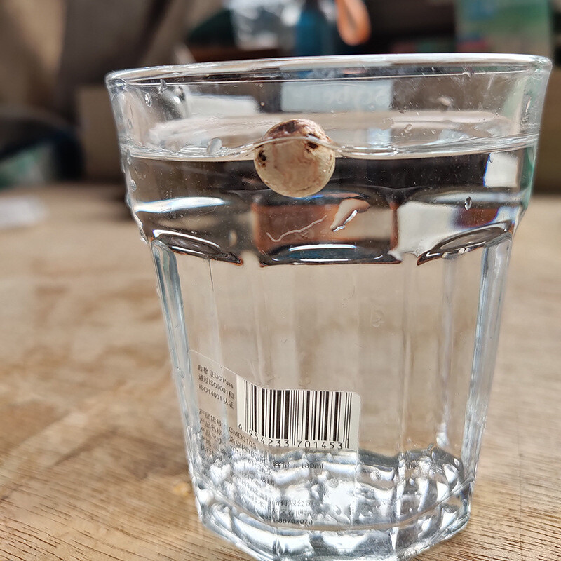 20 τμχ Floating Bead Bait Carp Fishing Boilies Bait Cork Ball Μεγάλη πλευστότητα μπάλα φελλού Ευρωπαϊκού στυλ 8mm/10mm Floating Ball Bait