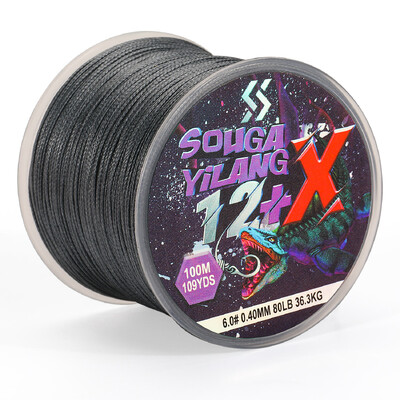 Sougayilang X12 100m pleteni strun 5 boja 18-80LB Multifilamentna žica za ribolov šarana Japanski PE pleteni strun Dodatna oprema Pesca