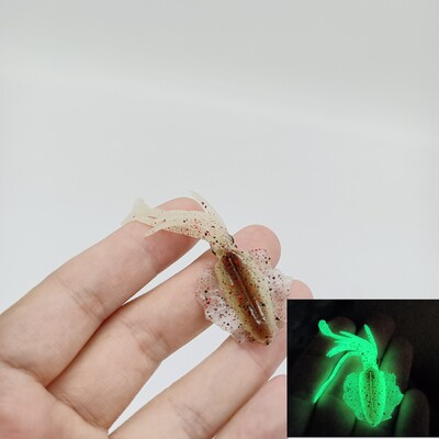 DUODUOYU 1 KOM Mini meki mamac za lignje 6 cm 2 g svjetleće UV šablone za lignje za slatkovodni ribolov mamac vobler pribor za pecanje