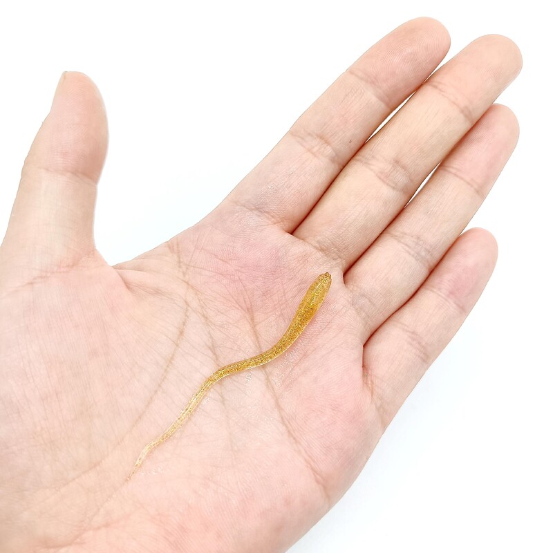 DUODUOYU 10 ks mäkká rybárska návnada s ihličkovým chvostom 0,3 g/65 mm, umelá návnada na skalné ryby, swimbaity, jigové rybárske potreby