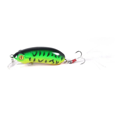 Nástraha Rock Lure Bait 10G jemná tvrdá nástraha Rock Beetle Rybárske vybavenie Malé tučné návnady Cc60 Príslušenstvo