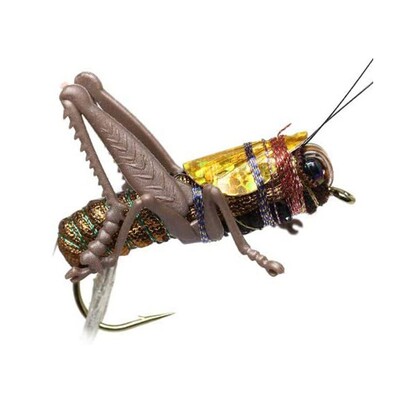 2# 6# Mamci za pecanje insekata Mamac za pecanje skakavaca Tvrdi umjetni mamci Simulacija ceste Mušičarenje Mamac za brancina Pribor za pecanje