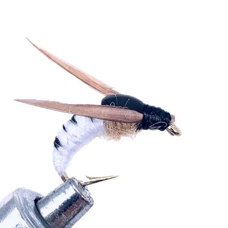 5 kom. Realne mušice za mušičarenje Umjetne bioničke mušice Mamac za insekte za bas pecanje Pastrve Mamac za šarana