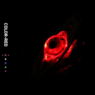 LED mamac za pecanje Svjetlo duboko padajuće žlice za ribolov Podvodni mamac u obliku oka Svjetlo za ribolov Oprema za ribolov Pribor