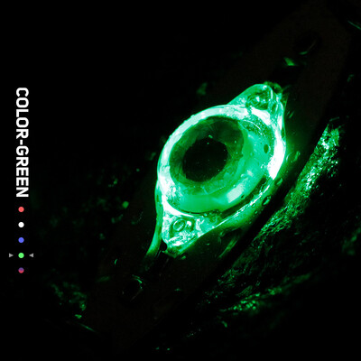 LED mamac za pecanje Svjetlo duboko padajuće žlice za ribolov Podvodni mamac u obliku oka Svjetlo za ribolov Oprema za ribolov Pribor