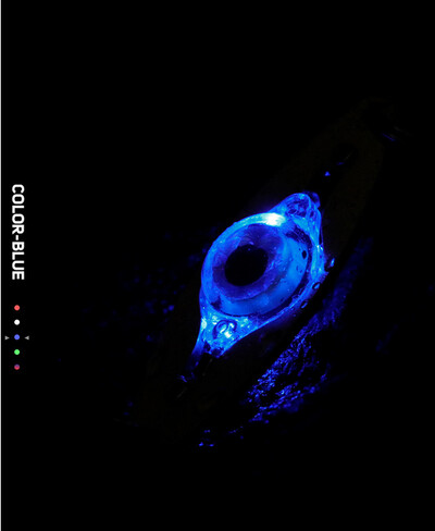 LED mamac za pecanje Svjetlo duboko padajuće žlice za ribolov Podvodni mamac u obliku oka Svjetlo za ribolov Oprema za ribolov Pribor