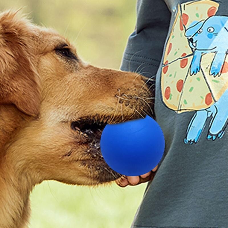 Топка за скуош за начинаещи Висока еластичност Малки топки за скуош за деца Гумена куха топка с висока видимост Професионално обучение на играчи