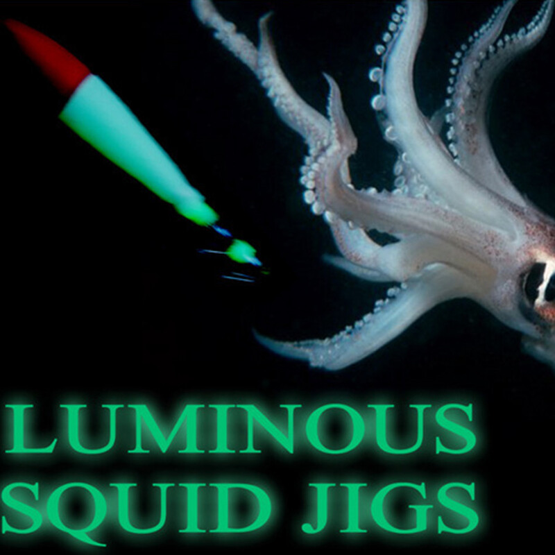 5 komada Svjetleća sipa Lignje Jig udica Sve za ribolov Mamci Hobotnica Glow Jigs Umjetni mamac Tvrdi Turlutte mamac za škampe