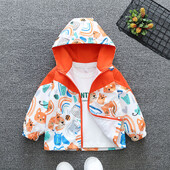 Vjetrovka Vodootporni kaputi s kapuljačom Jakne za vanjske aktivnosti Novo kampiranje Planinarenje Zip bejzbol uniforma Gornja odjeća Planinarska odjeća