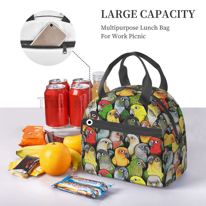 Slatke papige izolirana torba za ručak za žene, djecu Višekratna prijenosna rashladna termalna bento torba s podesivim remenom za nošenje