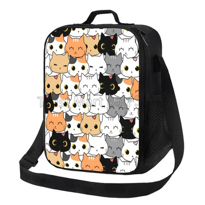 Šarene mačje glave sa svijetlim očima Vrećica za ručak za višekratnu upotrebu, nepropusna, izolirana, rashladna kutija za ručak za dječake Djevojčice u školu