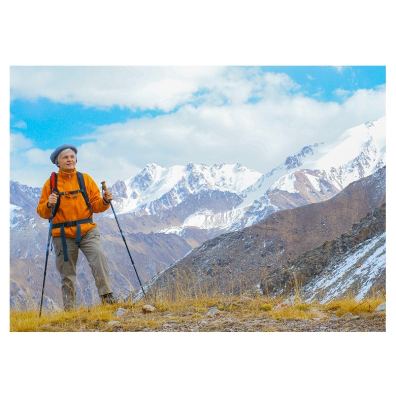 2 kom štapova za planinarenje Anti Shock štapovi za planinarenje Štap za nordijsko hodanje Aluminijski teleskopski štapovi za planinarenje za kampiranje Štake