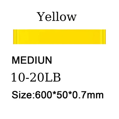 Resistance Loop Traka za vježbanje Trake za vježbanje za kućni fitnes Istezanje Vježbe snage Fizikalna terapija Elastična traka za vježbanje