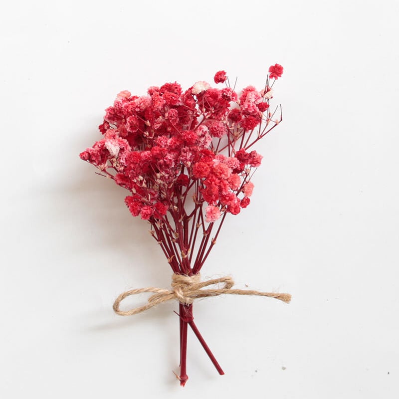 Mūžīgais ģipša zieds, mazs pušķis, mini kaltētu ziedu pušķis, jaukti ziedi, DIY, materiāls, dekorēšana, dāvana Valentīna dienā