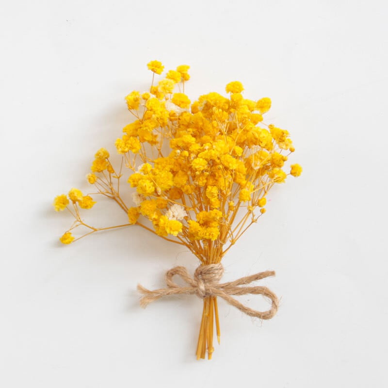 Mūžīgais ģipša zieds, mazs pušķis, mini kaltētu ziedu pušķis, jaukti ziedi, DIY, materiāls, dekorēšana, dāvana Valentīna dienā