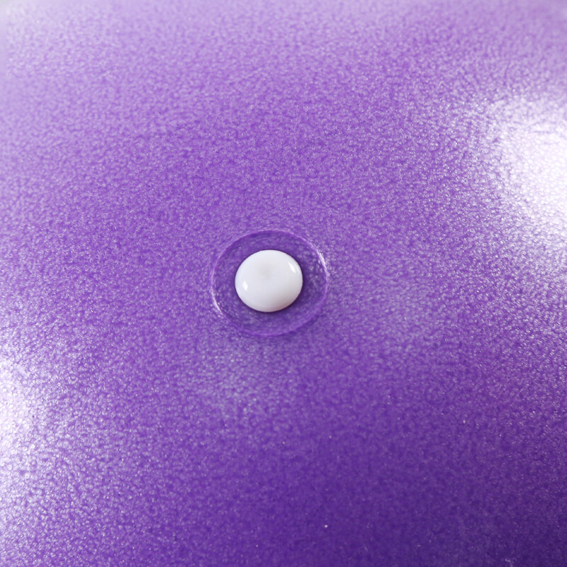 Lopta za jogu od 25 cm Vježbe Gimnastička lopta za fitnes Pilates Lopta za vježbe ravnoteže Teretana Fitness Lopta za jogu Unutarnji trening Yoga Ball Core