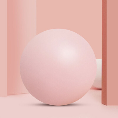 Pilates lopta PVC lopta za vježbanje Mala lopta za vježbanje za pilates Yoga Workout Bender Core Training Fizikalna terapija