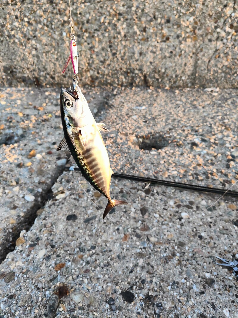 Micro Metal Jig žlica za bacanje s obale slana voda 1,7 g 3 g 5 g 7 g 10 g mamac za bacanje s obale Jack mamac za pecanje Umjetni mamac