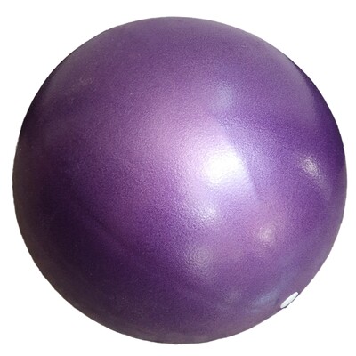 25cm Gymnastikball Fitness Lopte za vježbu Yoga Oprema za vježbe u kućnoj teretani u zatvorenom prostoru Oprema za pilates Gimnastičke lopte za fizički trening Novo