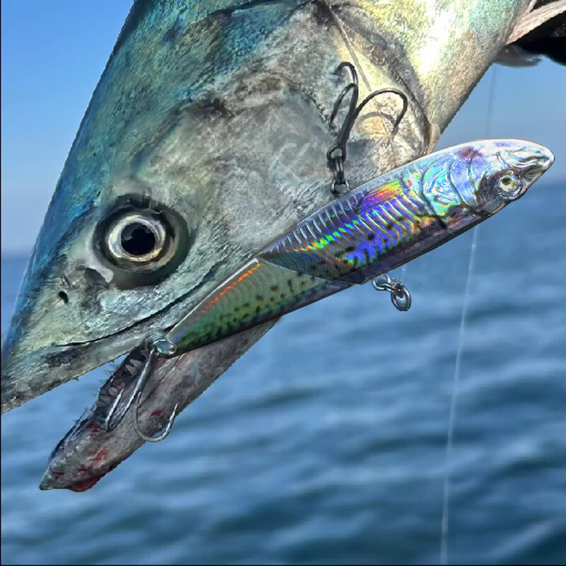 VIB Metal Jig Lure 20g 30g 40g Spinner Spoon 3D Eye Color Laser Spinning Fishing Tackle Hook Drag Cast Blade Pesca Vibetion Bait