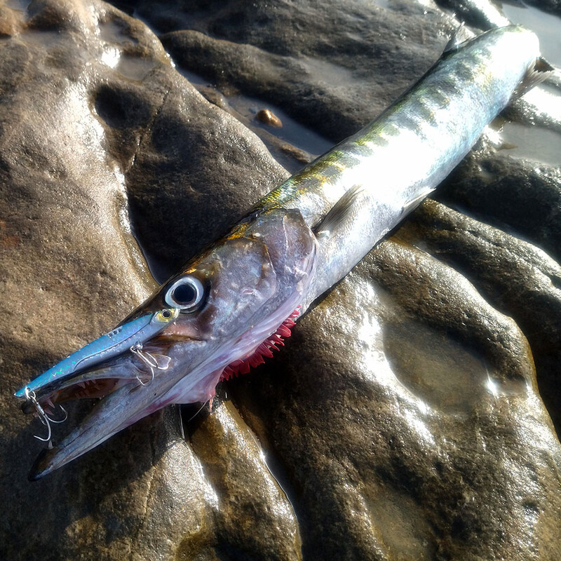 GOBAIT VIB Rybárska návnada 20g 25g 30g Kovová jigová potápavá čepeľ Háčik Rotujúca lyžica Cast VIBRÁCIA Uhlíková oceľ Tvrdá návnada