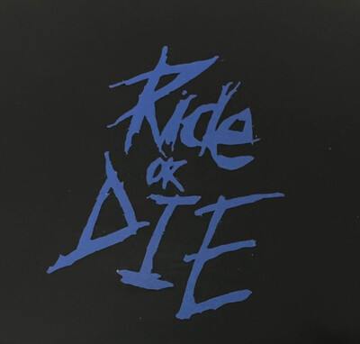1PC Naljepnice za okvir bicikla Ride or Die Naljepnice gornje cijevi za MTB bicikl Ukrasni okvir bicikla Dodaci za motocikle