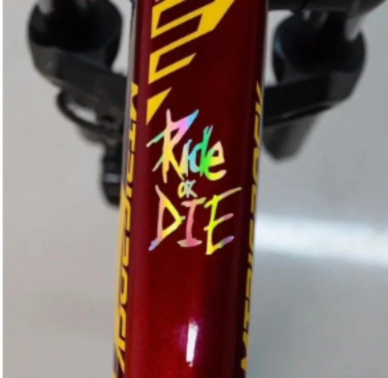 1PC Naljepnice za okvir bicikla Ride or Die Naljepnice gornje cijevi za MTB bicikl Ukrasni okvir bicikla Dodaci za motocikle