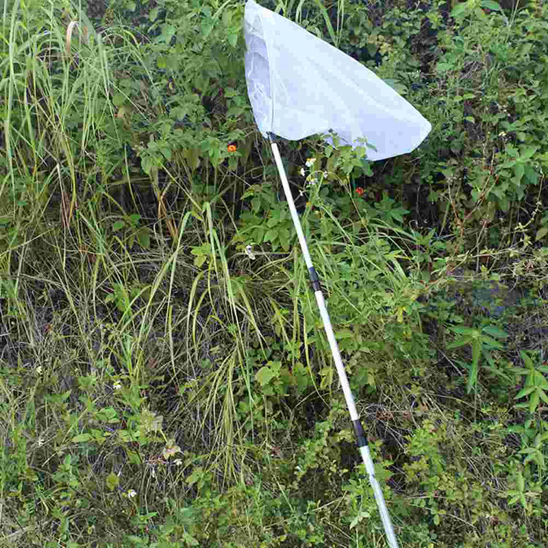 Profesionalus drugelių tinklelis su nerūdijančio plieno žiedu, tinklo gylis 23,5, teleskopinė rankena, pailginama 67 colių vaikams